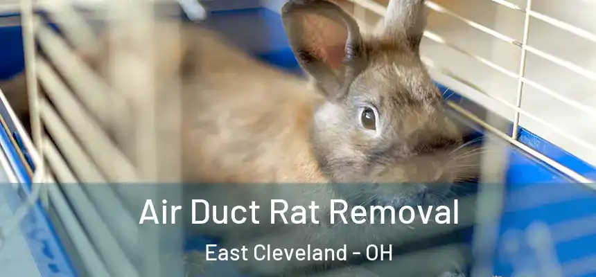 Air Duct Rat Removal East Cleveland - OH