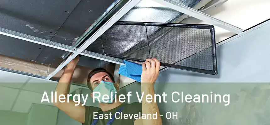  Allergy Relief Vent Cleaning East Cleveland - OH