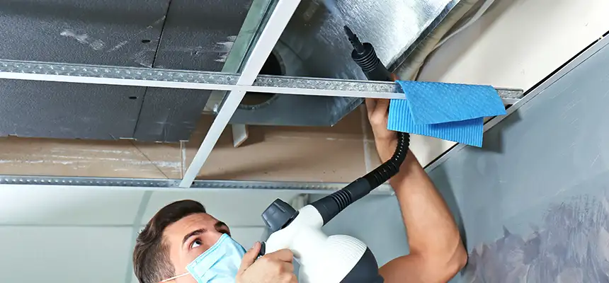 Our Air Duct Rodent Removal Services in East Cleveland, OH