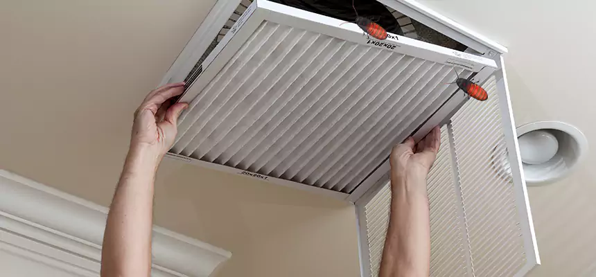 Our Insect Removal from Air Ducts Services in East Cleveland, OH