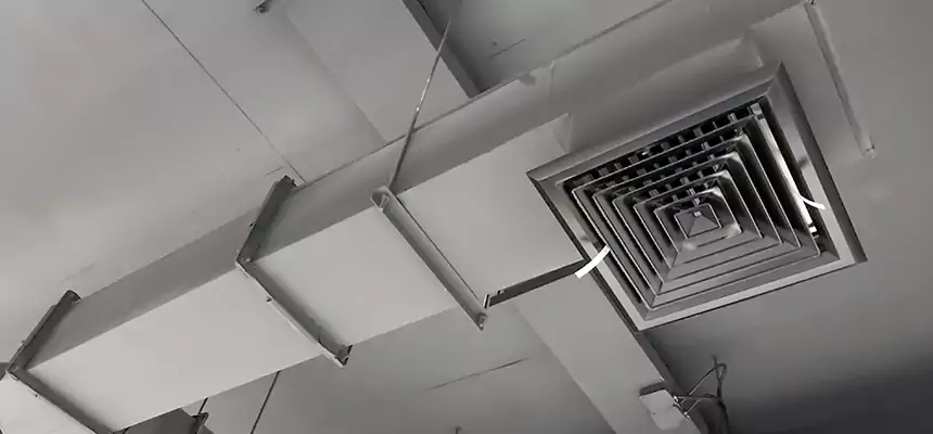 Our Rodent Droppings In Vents Services in East Cleveland, OH