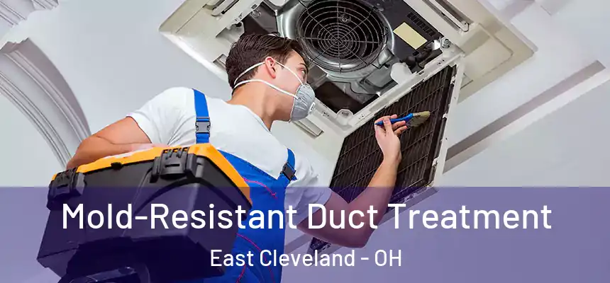  Mold-Resistant Duct Treatment East Cleveland - OH