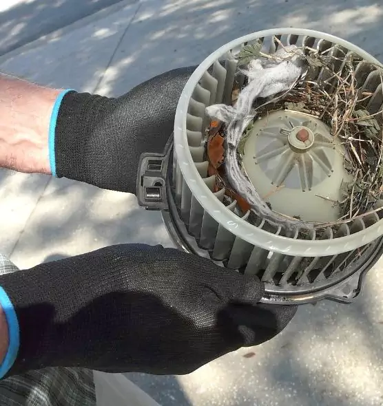 About Air Duct Mice Removal in East Cleveland, OH