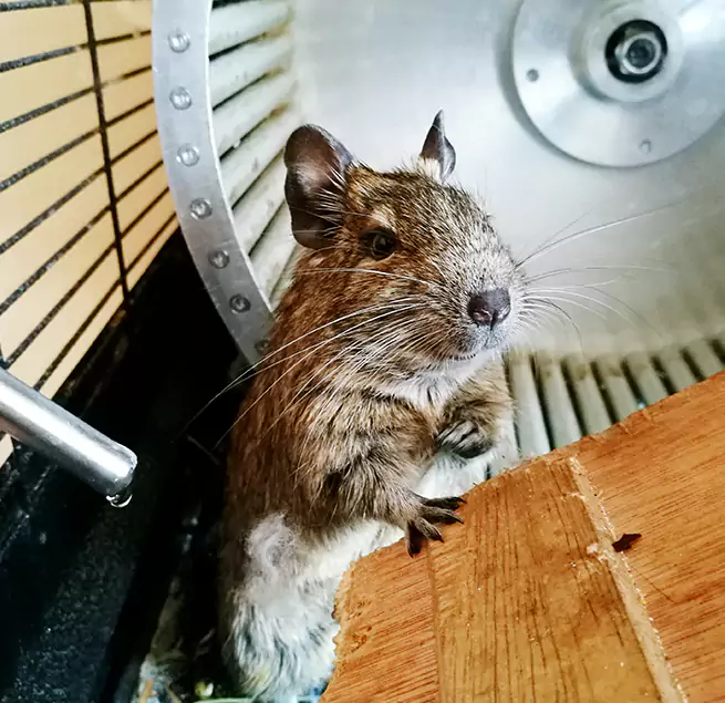 Why Homeowners & Businesses Trust Us East Cleveland, OH