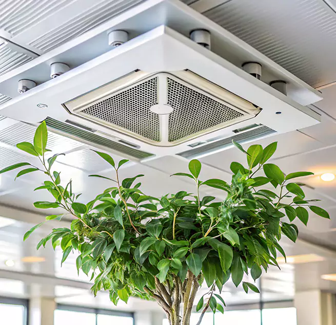 Why Homeowners & Businesses Trust Us in East Cleveland, OH